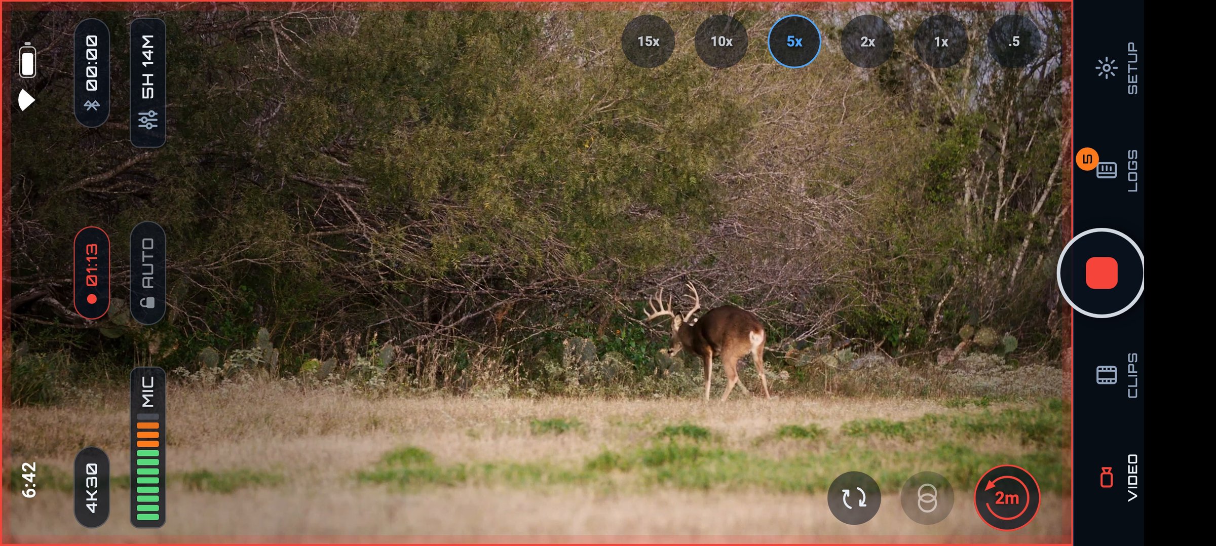 A whitetail buck across a field, filmed with the PREYR Hunting camera