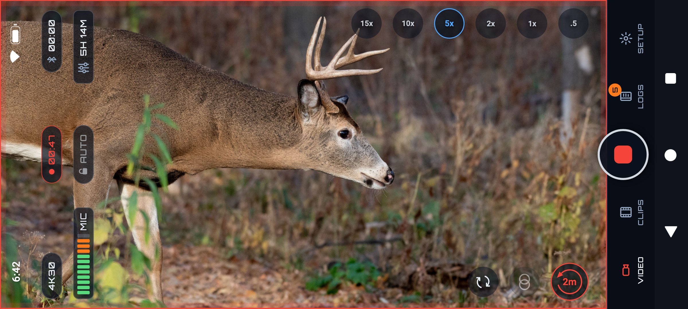A whitetail buck at bow range, filmed with the PREYR Hunting camera