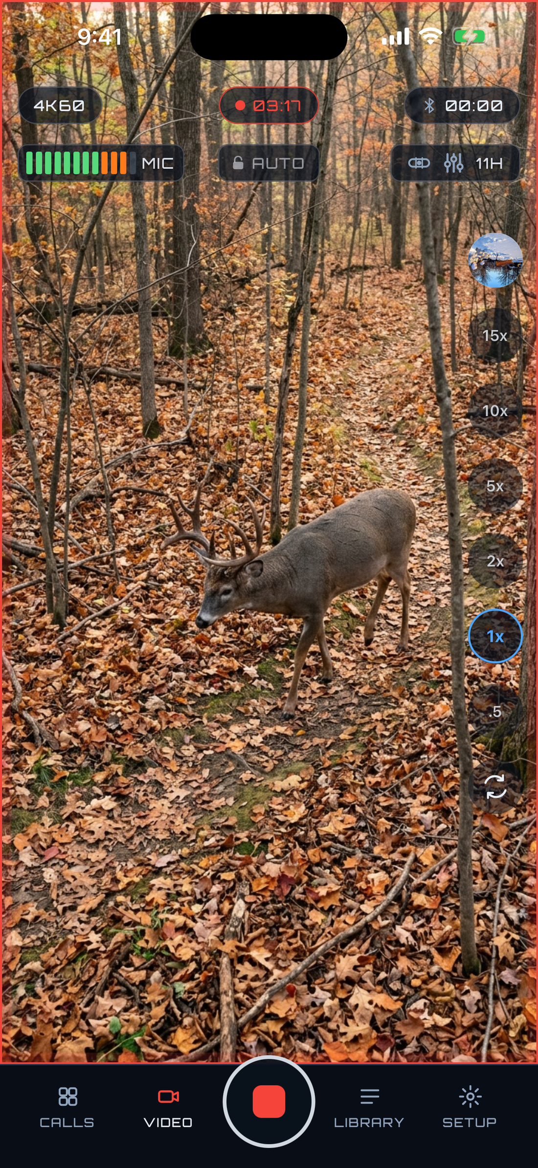 PREYR Pro Video filming a whitetail buck in portrait