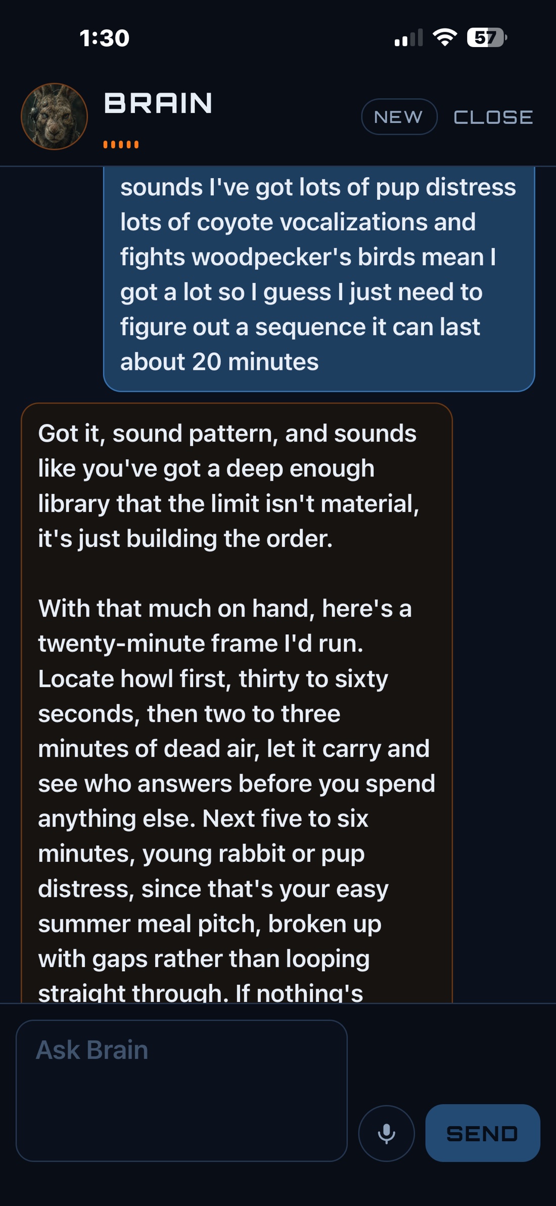 BRAIN talking through a sequence