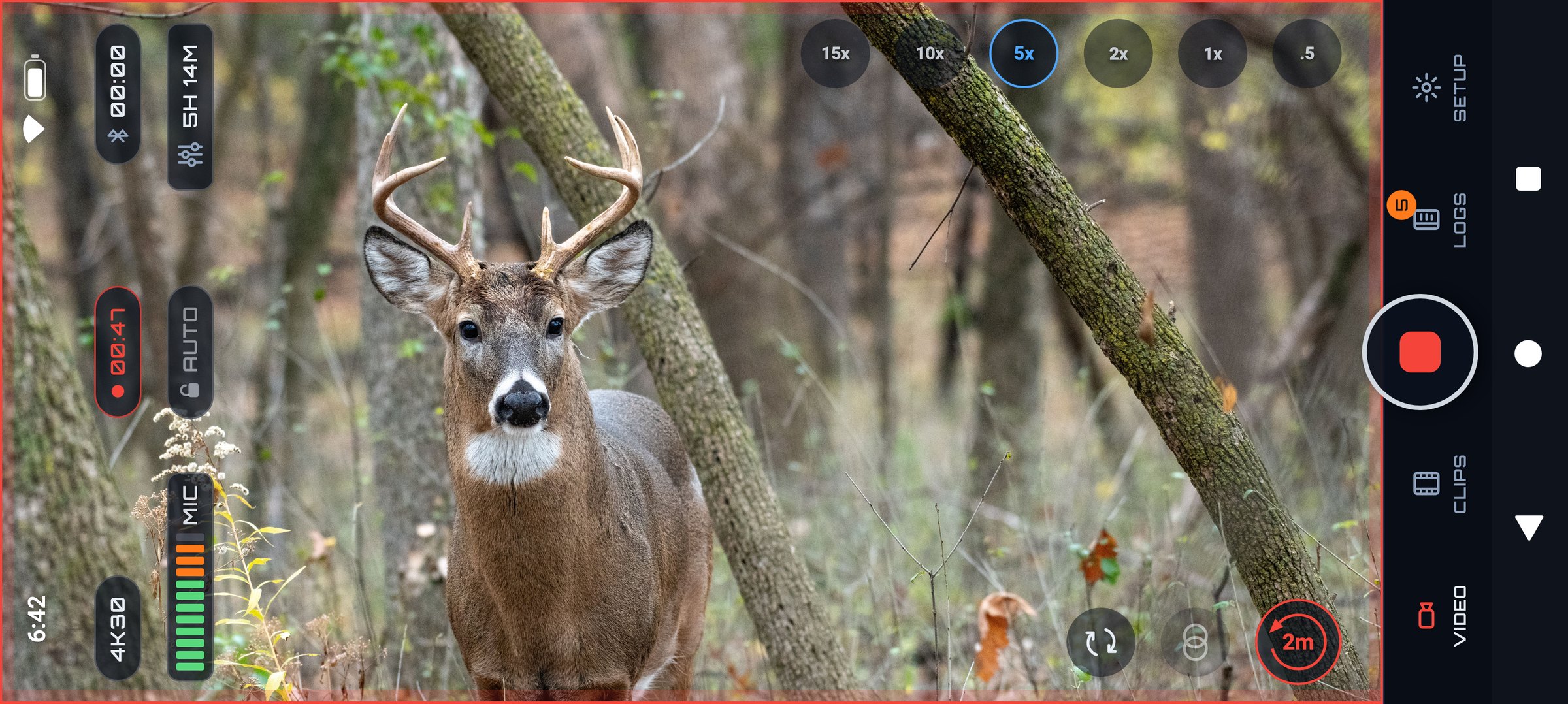 The PREYR Hunting camera filming a whitetail buck wide, the whole screen is the camera